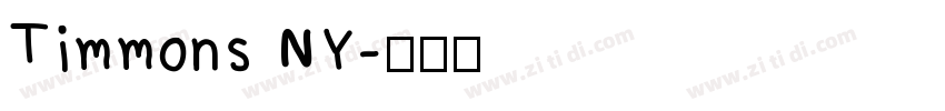 Timmons NY字体转换